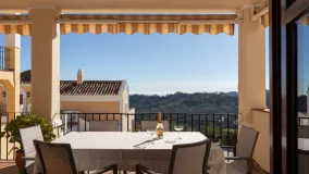 Pareado en venta de 4 dormitorios en Monte Mayor