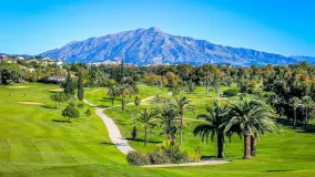 Comprar parcela en Paraiso Medio