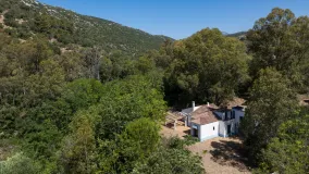 Buy Casares Playa finca