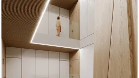 Buy duplex penthouse in Pacífico