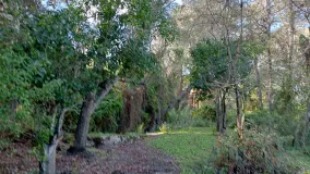 Parcela a la venta en Barbate Pueblo