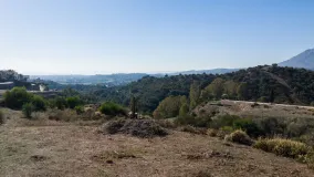 Plot for sale in Selwo