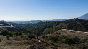 Plot for sale in Selwo