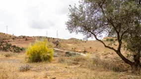 For sale Estacion de Cartama plot