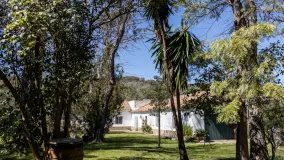 Finca for sale in Jimena de La Frontera