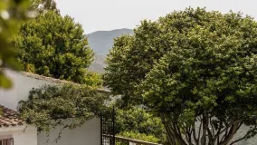 Buy Tarifa 7 bedrooms finca