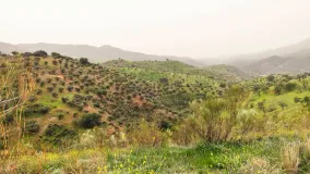 Malaga, parcela de 5 dormitorios en venta