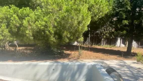 Plot for sale in Parcelas del Golf