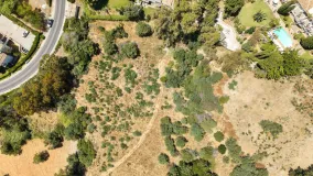 Comprar parcela en Puerto del Almendro