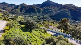 For sale plot in Monte Mayor