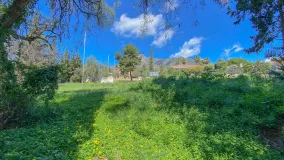 Rocio de Nagüeles plot for sale