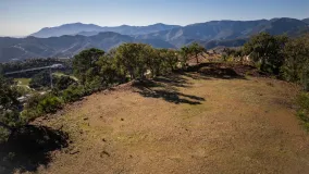 Parcela a la venta en La Zagaleta