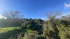 For sale finca in Estepona