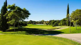 Parcela a la venta en Los Flamingos Golf