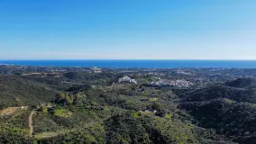 La Quinta plot for sale