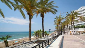 San Pedro de Alcantara restaurant for sale