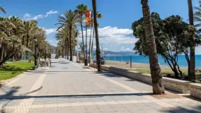 San Pedro de Alcantara restaurant for sale