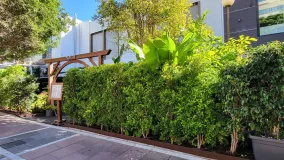 Buy Marbella - Puerto Banus restaurant