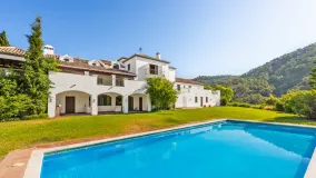 Buy 10 bedrooms villa in El Velerin