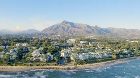 Marina Puente Romano, apartamento de 2 dormitorios en venta