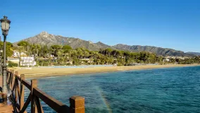 For sale Casablanca plot