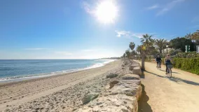 For sale Casablanca plot