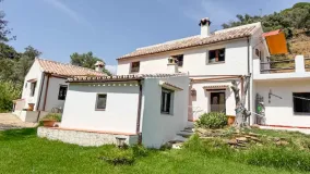Casares, finca en venta