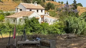 Casares, finca en venta