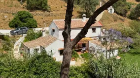 Casares, finca en venta