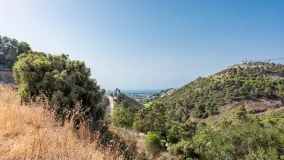 El Madroñal plot for sale