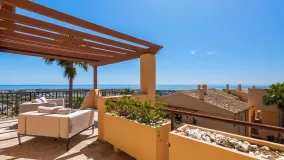 Penthouse for sale in Hacienda del Señorio de Cifuentes