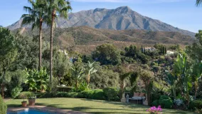 For sale villa in El Madroñal