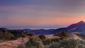 La Zagaleta plot for sale