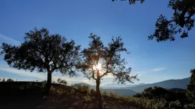 La Zagaleta plot for sale