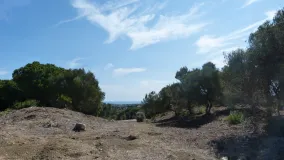 Plot in Zona L for sale