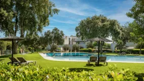 For sale duplex penthouse in Hacienda de Valderrama