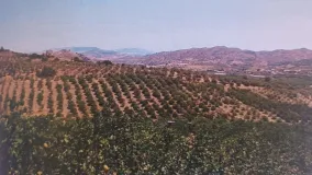 For sale plot in Alora