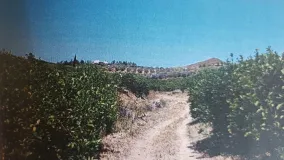 For sale plot in Alora