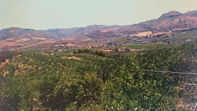 For sale plot in Alora