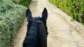 3 bedrooms Mijas Costa finca for sale