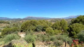 Finca en venta con 3 dormitorios en Monda