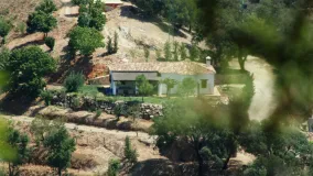 Buy finca with 2 bedrooms in Jubrique