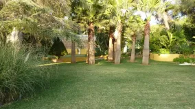 For sale plot in Hacienda las Chapas