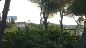 For sale plot in Hacienda las Chapas