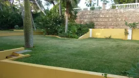 For sale plot in Hacienda las Chapas