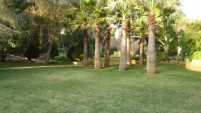 For sale plot in Hacienda las Chapas