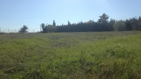 For sale New Golden Mile plot