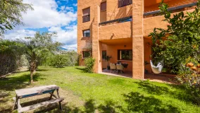 For sale Gazules del Sol ground floor apartment