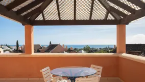 Buy 3 bedrooms duplex penthouse in Andalucia Alta