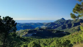 La Zagaleta plot for sale